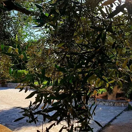 Peppino Casa rural *