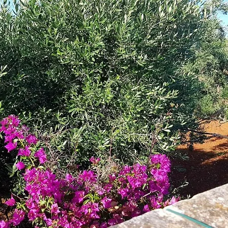Casa rural Peppino Carovigno