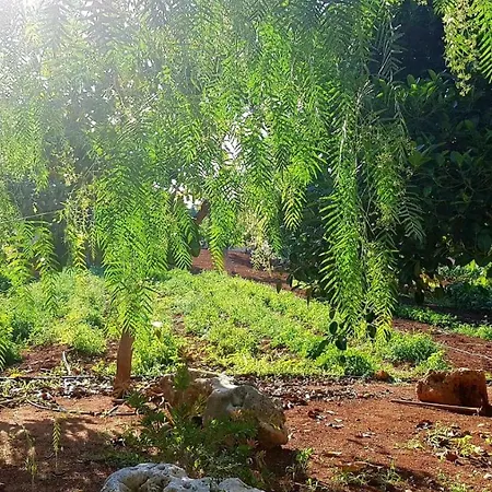 Casa rural Peppino